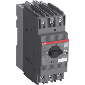 Guardamotor MS165-65 reg.: 52-65