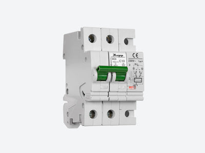MCB.P C-2p-10A, Disyuntor motorizado para protección magnetotérmica y diferencial con reconexión por diferencial, 2 polos