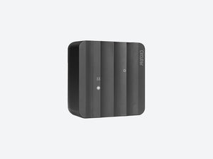 eManager Pro, Controlador ARM