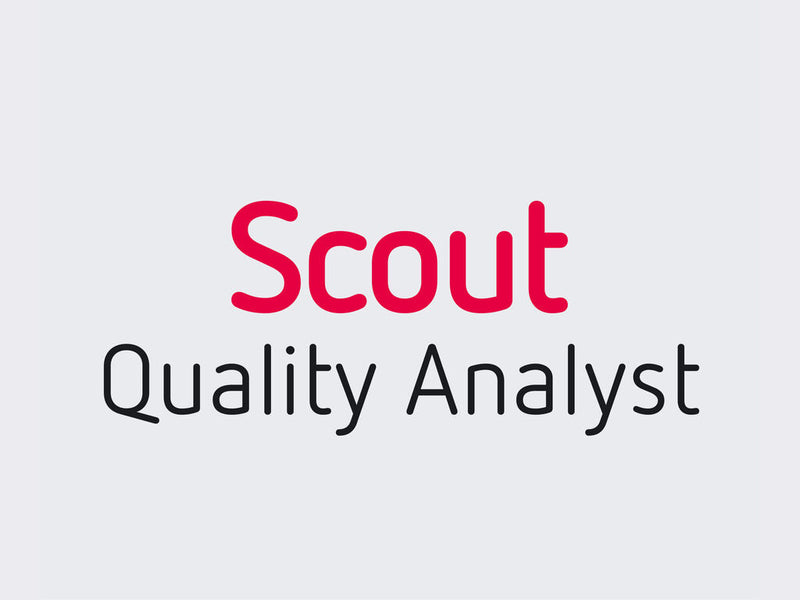Quality Analyst SIM VPN EU - Single, Módulo con SIM configurada para conexión segura vía VPN,cobertura europea
